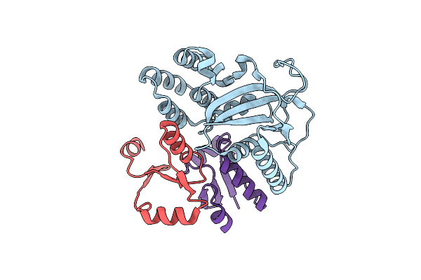 7C13 image