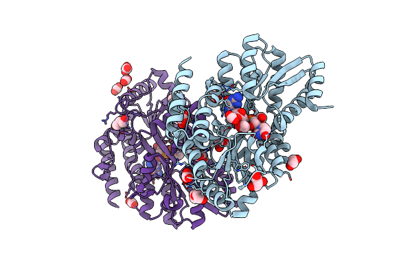 7C16 image