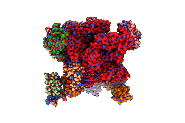 7C17 image
