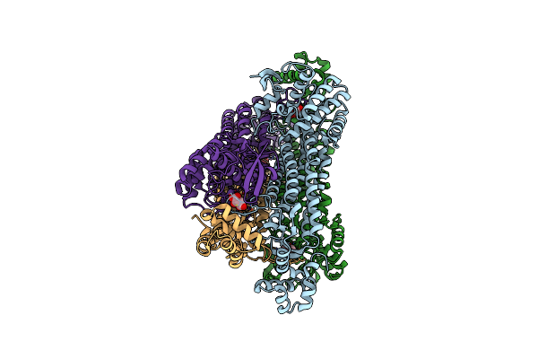 7C1A image