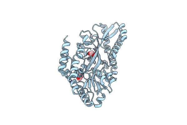 7C1B image