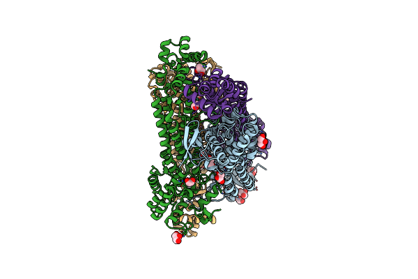 7C1C image