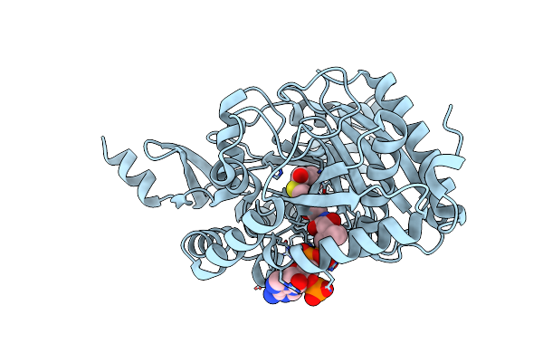 7C1L image