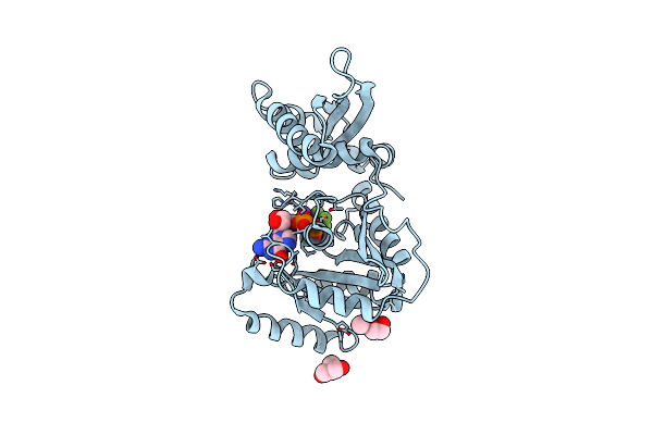 7C1O image