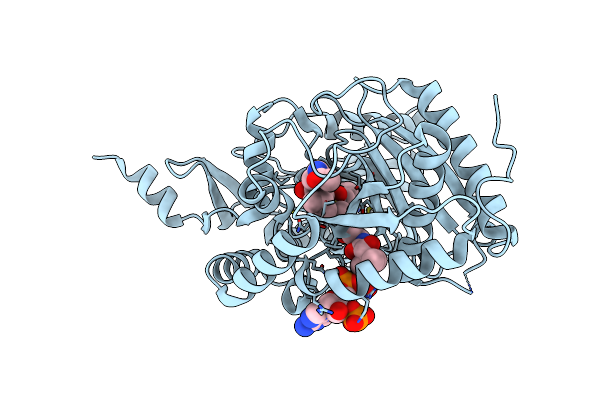 7C1S image