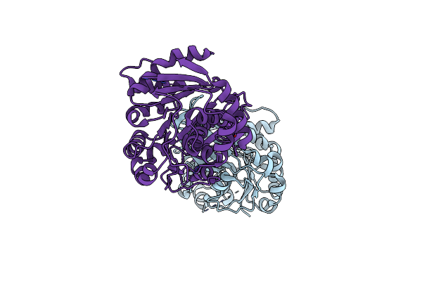 7C1X image