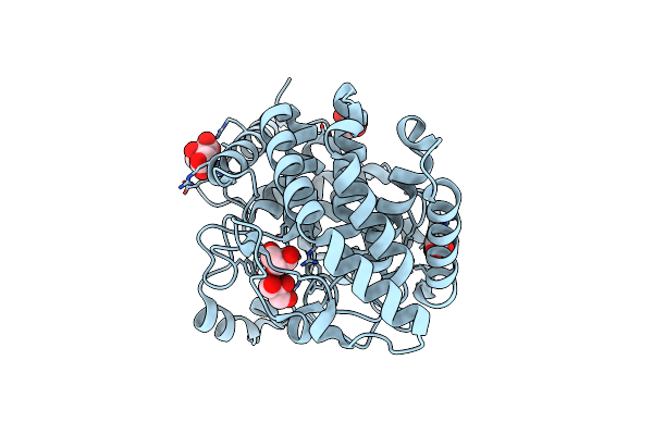 7C25 image