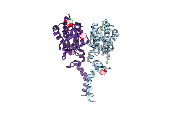 7C29 image