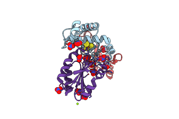 7C2B image