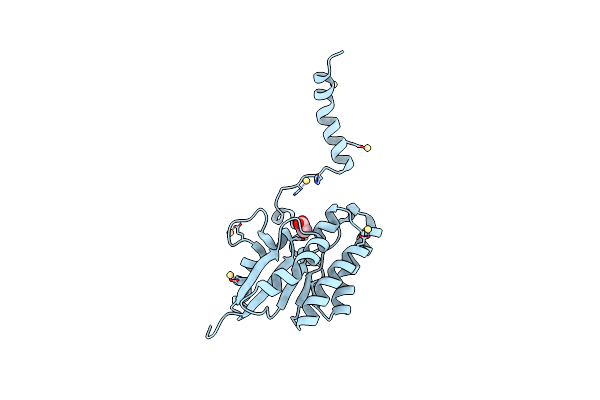 7C2D image