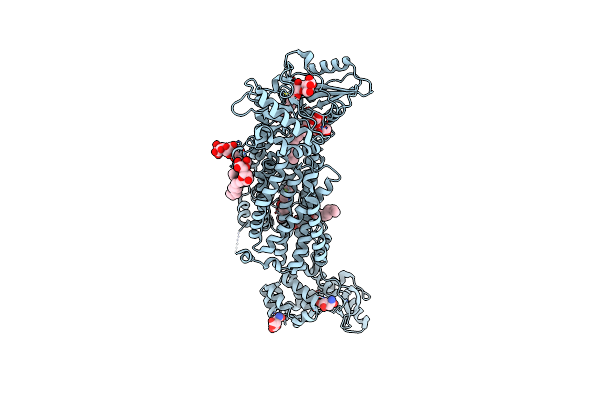 7C2M image
