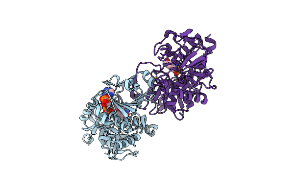 7C2O image