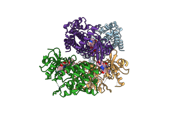 7C2V image