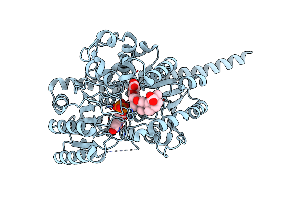 7C2X image