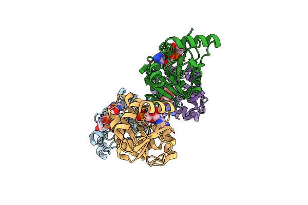 7C33 image