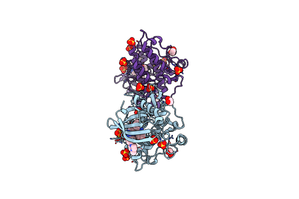 7C3G image