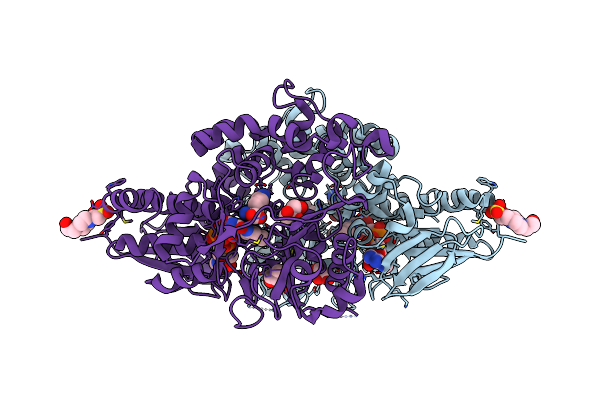 7C3H image