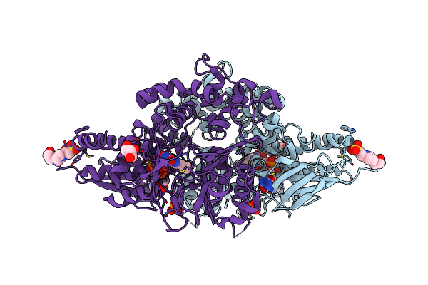 7C3I image
