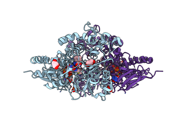 7C3J image