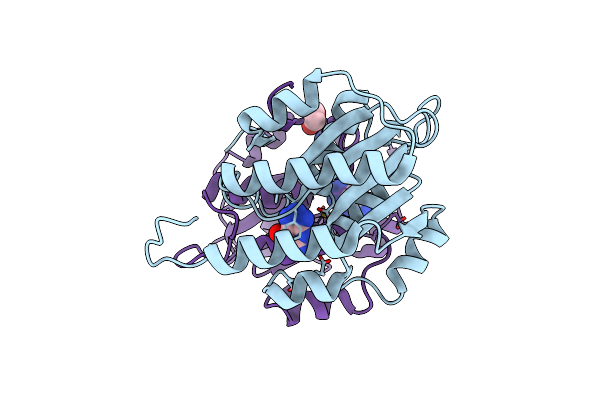 7C3U image