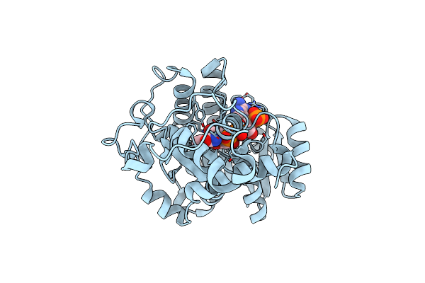 7C3V image
