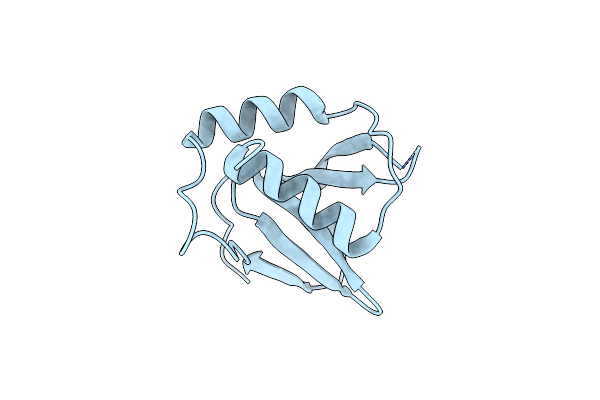 7C3Z image