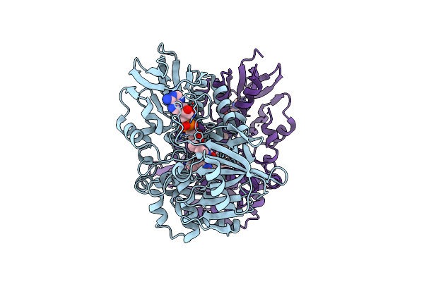 7C49 image