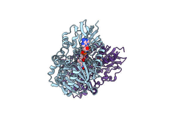7C4A image