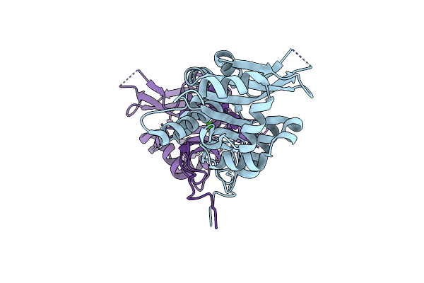 7C4H image