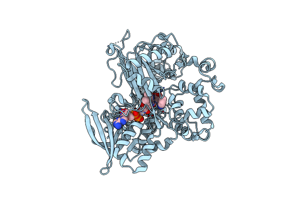 7C4M image