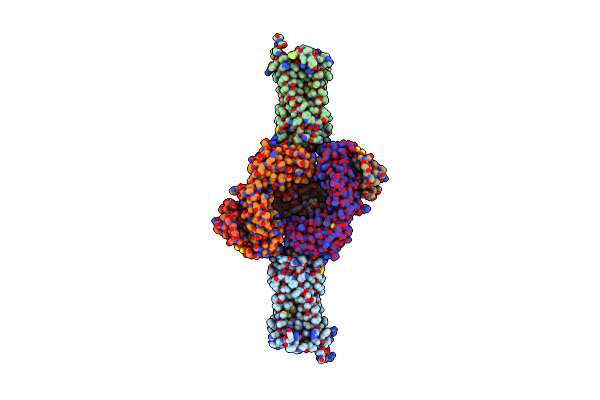 7C4S image