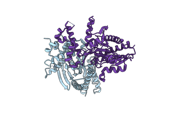 7C4X image