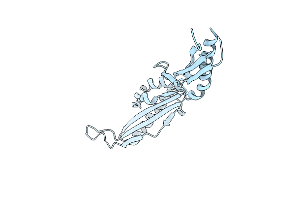 7C51 image