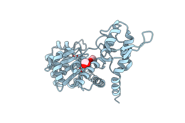 7C5C image