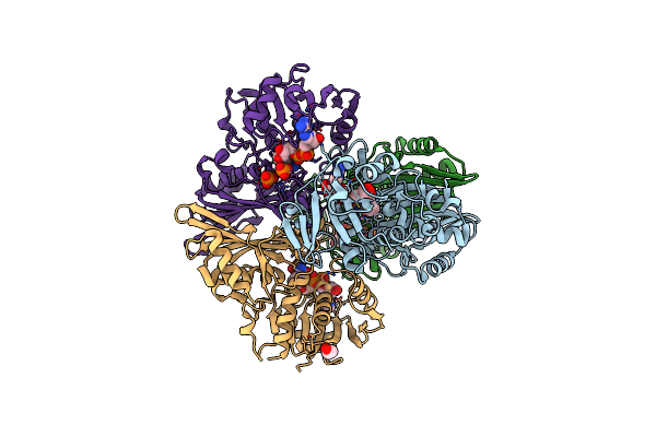 7C5G image