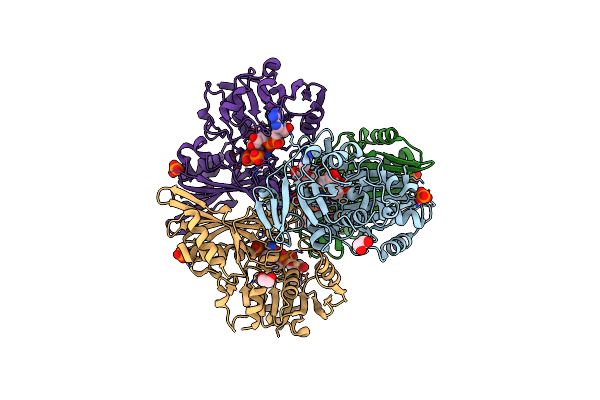 7C5I image