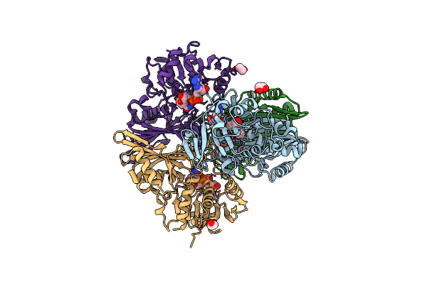 7C5J image