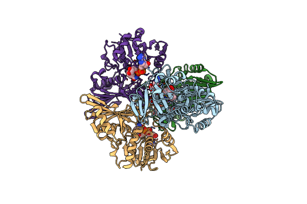 7C5L image