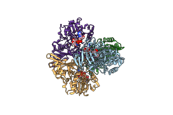 7C5O image
