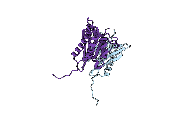 7C5W image