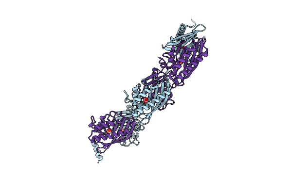 7C5X image
