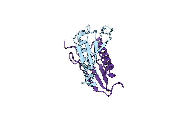 7C5Z image