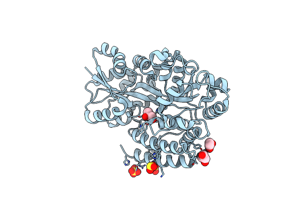 7C63 image