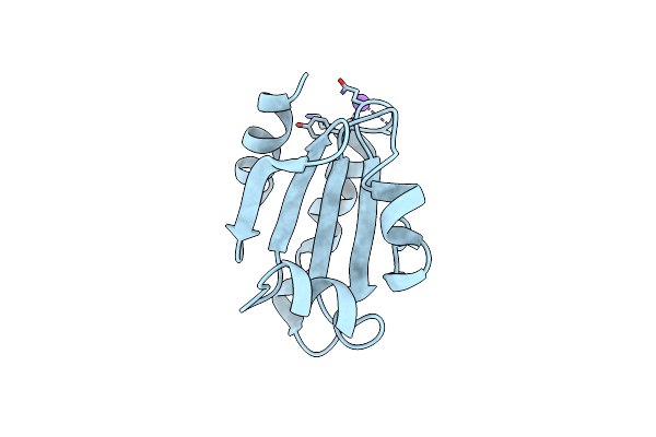 7C65 image
