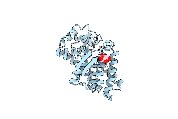 7C6C image