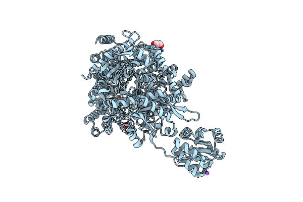 7C6O image