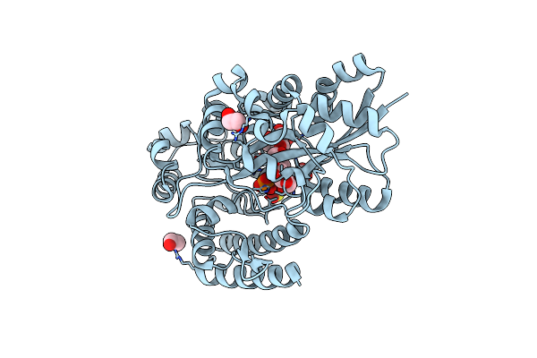 7C6W image