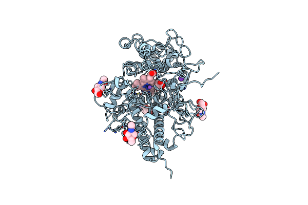 7C75 image