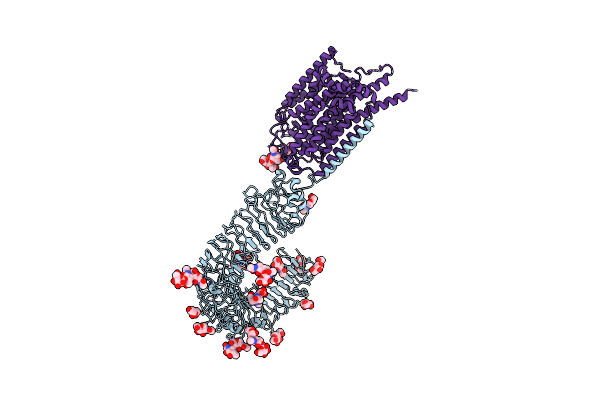 7C76 image