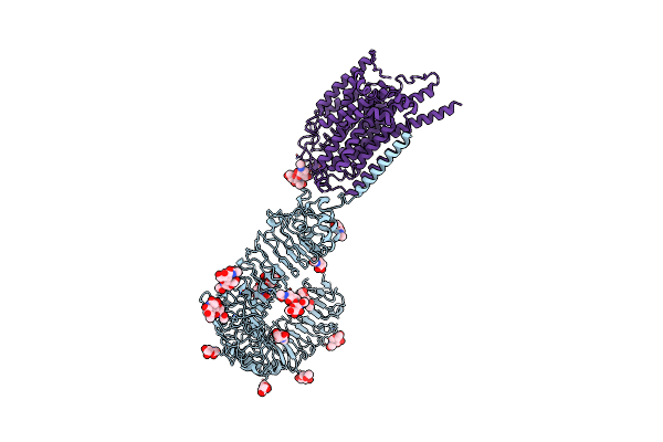 7C77 image